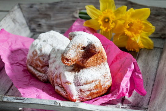 Osterlamm mit Puderzucker, Geb&auml;ck, Ostergeb&auml;ck, Narzissen, Ost