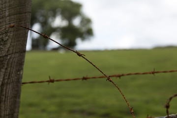 Dartmoor