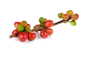 Coffee cherry isolate on white background