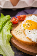 fried egg in studio