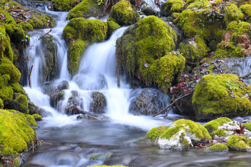 Fototapeta na wymiar Mountain stream among the mossy stones