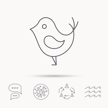 Bird with beak icon. Social media concept sign.