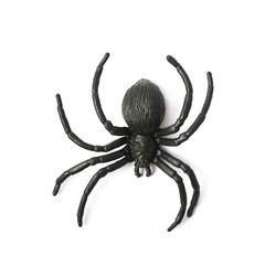 Fake rubber spider toy isolated