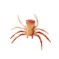 Fake rubber spider toy isolated