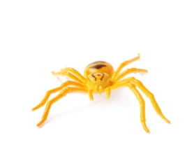 Fake rubber spider toy isolated