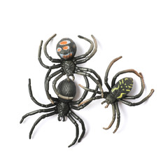 Rubber spider toy isolated