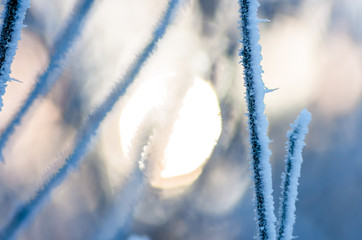 Winter cold sun