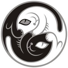 Black and white cats as Yin-Yang symbol