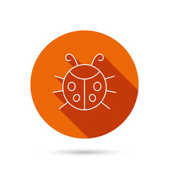 Ladybug icon. Ladybird insect sign.