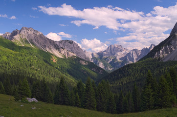 Obraz premium Summer view of the Alps near Sappada, Veneto, Italy 