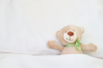Cute teddy bear on kids bedroom.