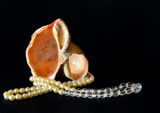 Seashell and white pearls, isolated on black background