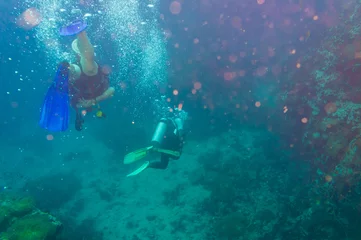 Poster de jardin Plonger Plongée sous-marine sur les récifs coralliens en mer