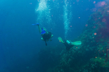 Fototapeta na wymiar Scuba diving on coral reef in sea