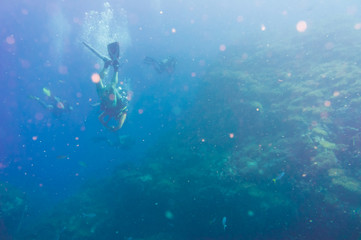 Fototapeta na wymiar Diver blue water scuba diving at Shark island of Koh tao