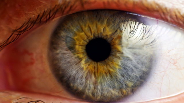Human eye iris contracting. Extreme close up.