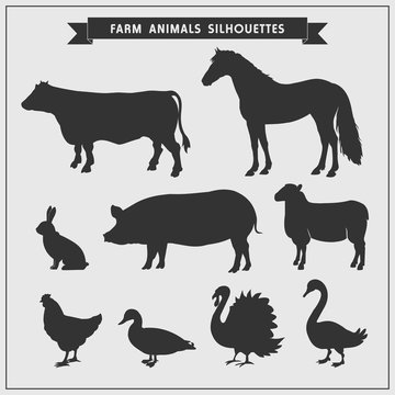 Silhouettes of farm animals isolated on a gray background.