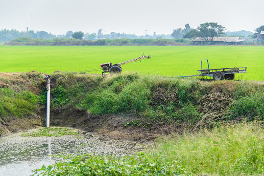 Farmers Pumping water to Jasmine rice fields with old tractor