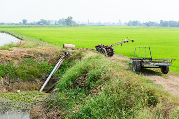 Farmers Pumping water to Jasmine rice fields with old tractor