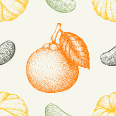 Fototapety  Wektor wzór z atramentem ręcznie rysowane mandarynki owoce, plasterek i liście szkicu. Vintage tło cytrusowe w pastelowych kolorach