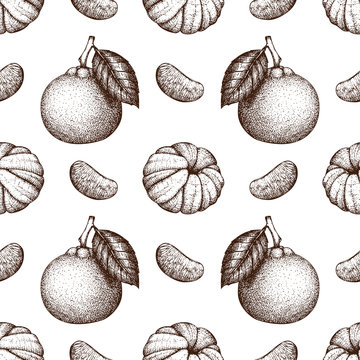 Vector seamless pattern with ink hand drawn tangerine fruit, slice and leaves sketch. Vintage citrus background