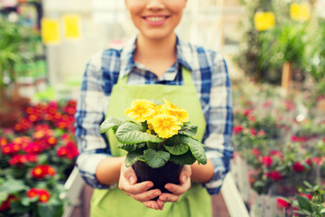 close up of woman holding flowers in greenhouse