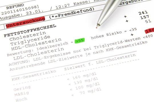 Vorsorgeuntersuchung - Bluttest - Leberwerte - Cholesterin