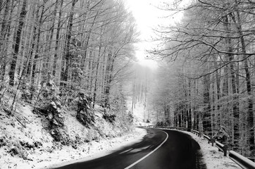 Transfagaras road in Romania in winter with snowy trees