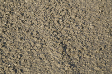 Texture of fresh mortar. Wet cement