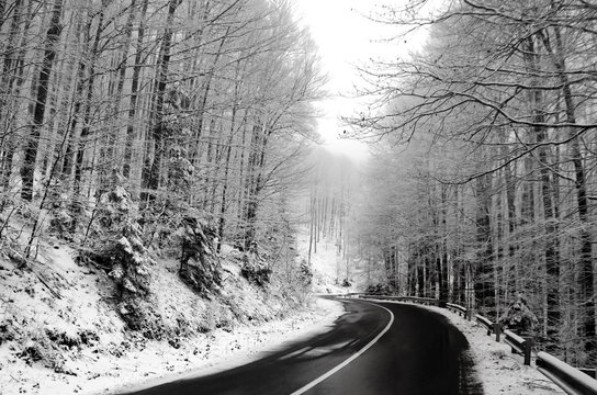 Transfagaras Road In Romania In Winter With Snowy Trees