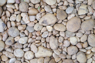 Stone texture .