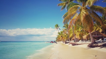 Saona island, Dominican Republic