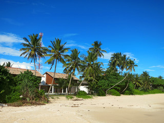 Obraz na płótnie Canvas House between palm trees at the beach