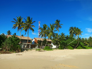 Obraz na płótnie Canvas House between palm trees at the beach