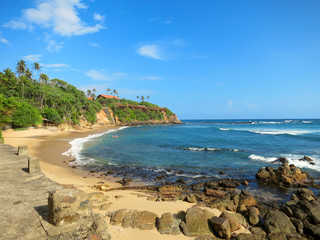 Fototapeta na wymiar Empty ocean beach with greens and sand, Sri Lanka