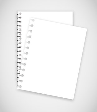 Realistic torn notebook paper vector