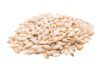 pearl barley close-up