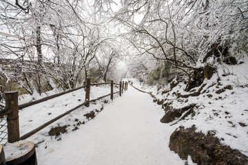 path in the Emei Mountain in winter -Leshan, Sichuan, China
