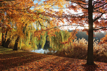 Herbstfarben