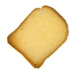 Single biscotte isolated on a white background
