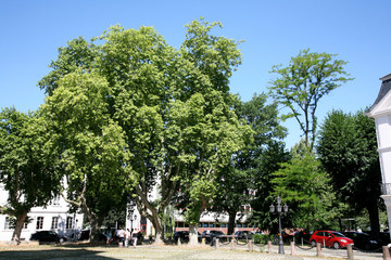 Ludwigsplatz Saarbrücken