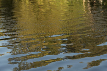Yellow Reflection in the River