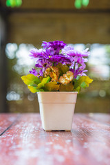 Purple flowers in a white vase on a wooden table.- Vintage filte