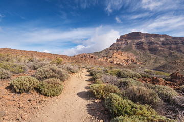 Teide national park, volcanic landscape, Tenerife, Canary island, Spain.