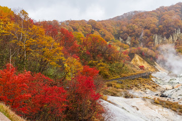 Fototapeta na wymiar autumn at Jigokudani hell valley, Hokkaido, Japan