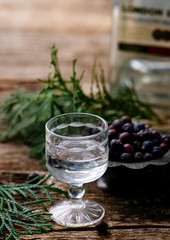 gin in a glass shot glass