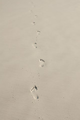 Foot prints in the sand
