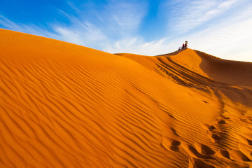 Fototapeta na wymiar Oman - Wahiba Sands