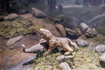 Saber-Toothed Cat
