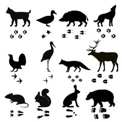 Wild animals vector paw footsteps black silhouette shape isolated on white background